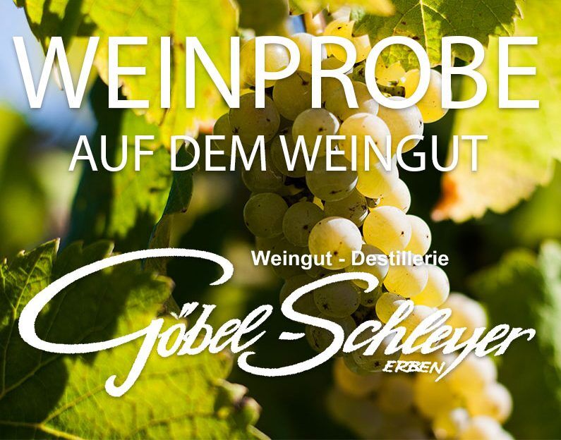 Weinprobe aud fem Weingut